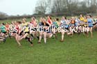 Senior womens Inter Counties Cross Country, Prestwold Hall, Loughborough. Photo: David T. Hewitson/Sports for All Pics